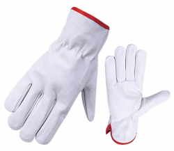 Driving Gloves (Unlined) 